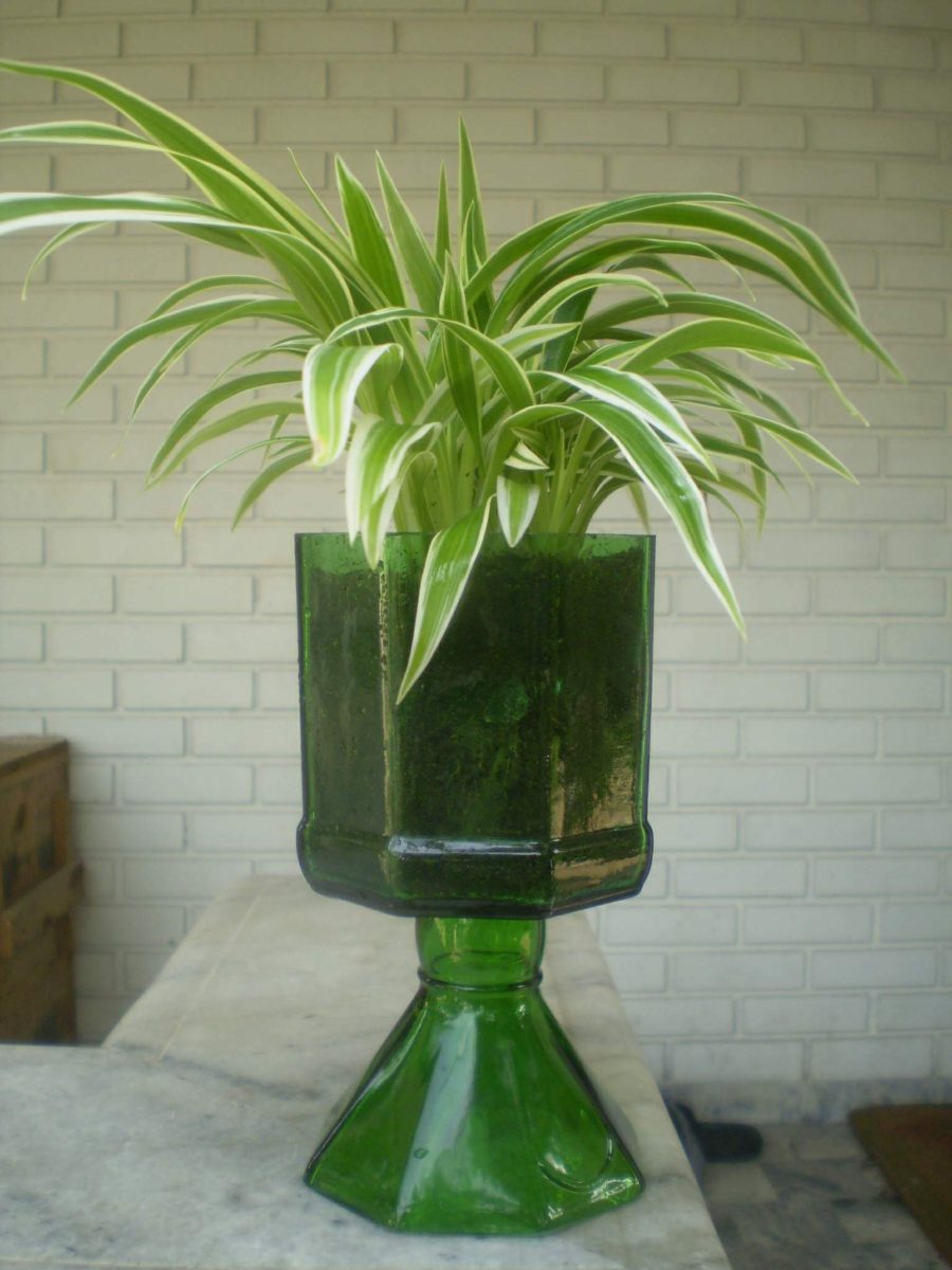 Spider plant in a cut green glass bottle on a pedestal