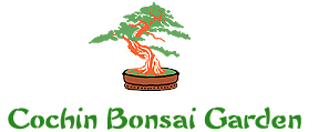 Cochin Bonsai Garden